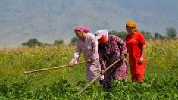 Kıbrıs Türk Çiftçiler Birliği Genel Başkanı Hüseyin Çavuş KELLE 15 Ekim Dünya Kadın Çiftçiler Günü dolayısıyla mesaj yayımladı.