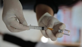 İspanya'da Kovid-19 Aşı Tüpünde Sivrisineğe Rastlanması Sonucu 765 Bin Aşı Geri Çekildi