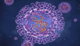 Güney Kıbrıs Maymun Çiçeği Virüsü Nedeniyle Alarma Geçtiği Bildirildi