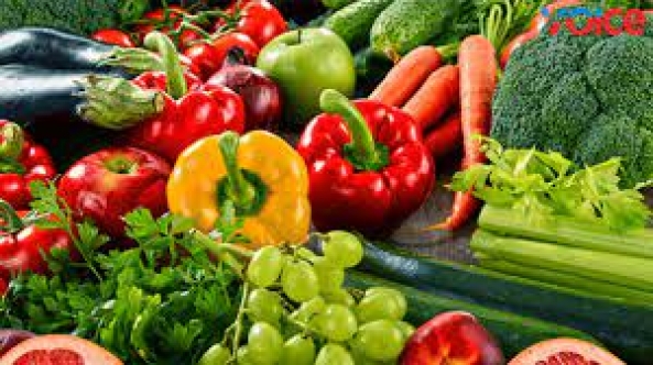 Güney’de Temel Tüketim Ürünleri Yüzde 63 Zamlandı, Özellikle Sebze Fiyatları Yüzde 200 Arttı