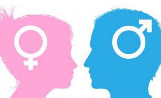 Güney Kıbrıs’ta Altı Yıl İçerisinde 32 Kişi Cinsiyetini Ve Kimliğini Değiştirdi