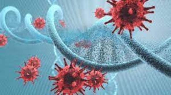 DSÖ, Virüsün Kaynağına Dair en Kuvvetli Varsayım Adenovirüs