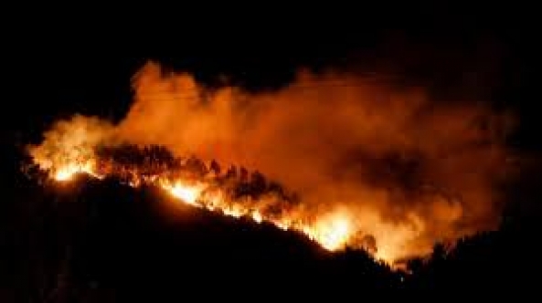 Yunanistan'da Orman Yangınları Devam Ediyor