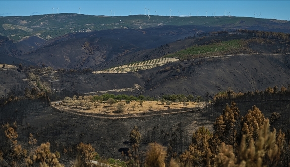Portekiz, orman yangınlarına karşı 3 günlük alarma geçti