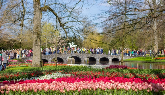 Hollanda'da dünyanın en büyük lale bahçelerinden Keukenhof, 74’üncü kez kapılarını ziyaretçilere açtı