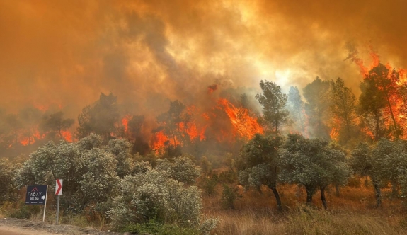 Güney Kıbrıs'ta yangın sezonuna hazırlık