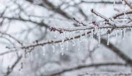 Meteoroloji Dairesi Soğuk Hava Sürecek Don ve Kar Bekleniyor