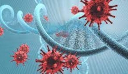 DSÖ, Virüsün Kaynağına Dair en Kuvvetli Varsayım Adenovirüs