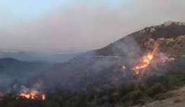 Orman Yangını Başlayan Sağanak Alevleri Söndürdü Yangında 20 Bin DÖnüm Etkilendi
