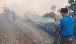 Yangın Altınova ve Ağıllar köylerine ilerliyor