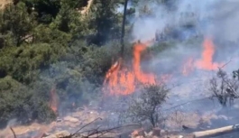 İzmir'de Çıkan Orman Yangınına Müdahale Ediliyor