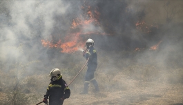 Yunanistan'da Orman YangınlarıFfarklı Bölgelerde Sürüyor