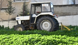 LTB, Lefkoşa’daki tüm devlet okullarının genel temizliğini tamamladı