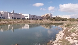 Çevre Koruma Dairesi, Bafra Sulak Alanında temizleme çalışması yapıldığını duyurdu