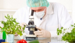 Gıda denetim sonuçları… İki ithal, iki yerli üründe limit üstü bitki koruma ürünü tespit edildi