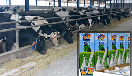 Tarım Bakanlığı duyurdu: Süt fiyatları güncellendi